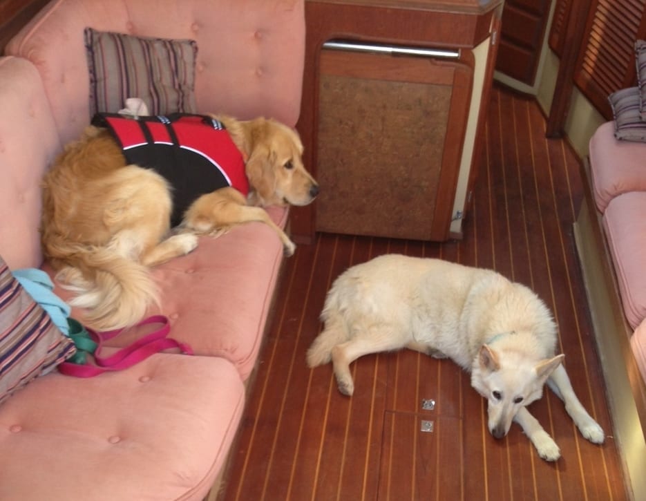 4c231491-fddd-42fc-b873-e29042