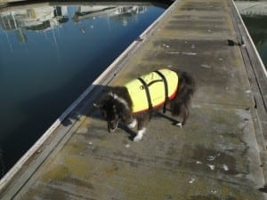 Meggie in life jacket