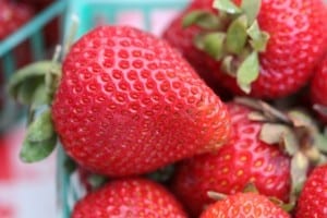strawberry_close2